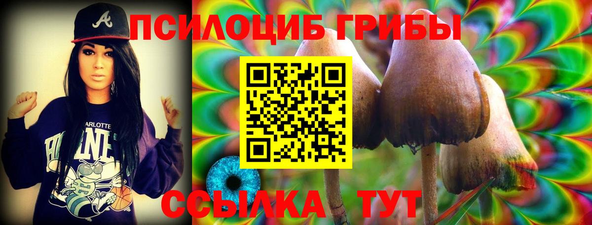 Дедовск  Галлюциногенные грибы мицелий  Вход с VPN  Псилоцибиновые грибы мицелий 