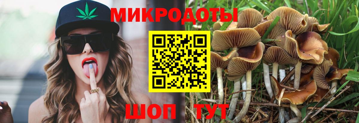 Псилоцибиновые грибы прущие грибы Дедовск